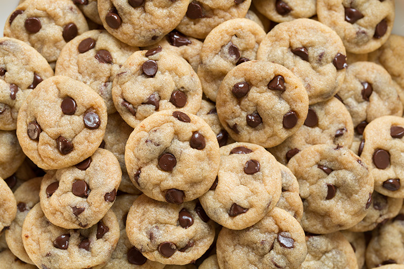 chocolate chip cookie bites16 srgb.