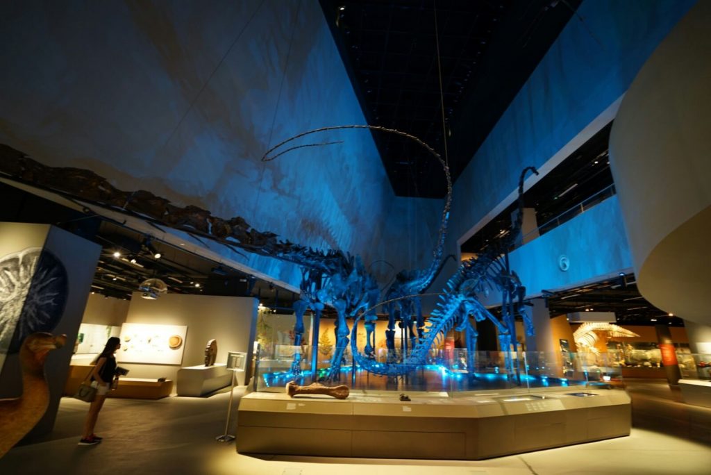 lkc museum