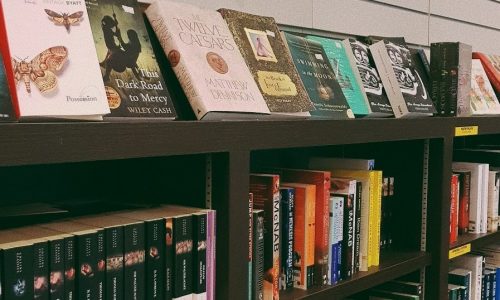 BookHaven picture e1584027888297