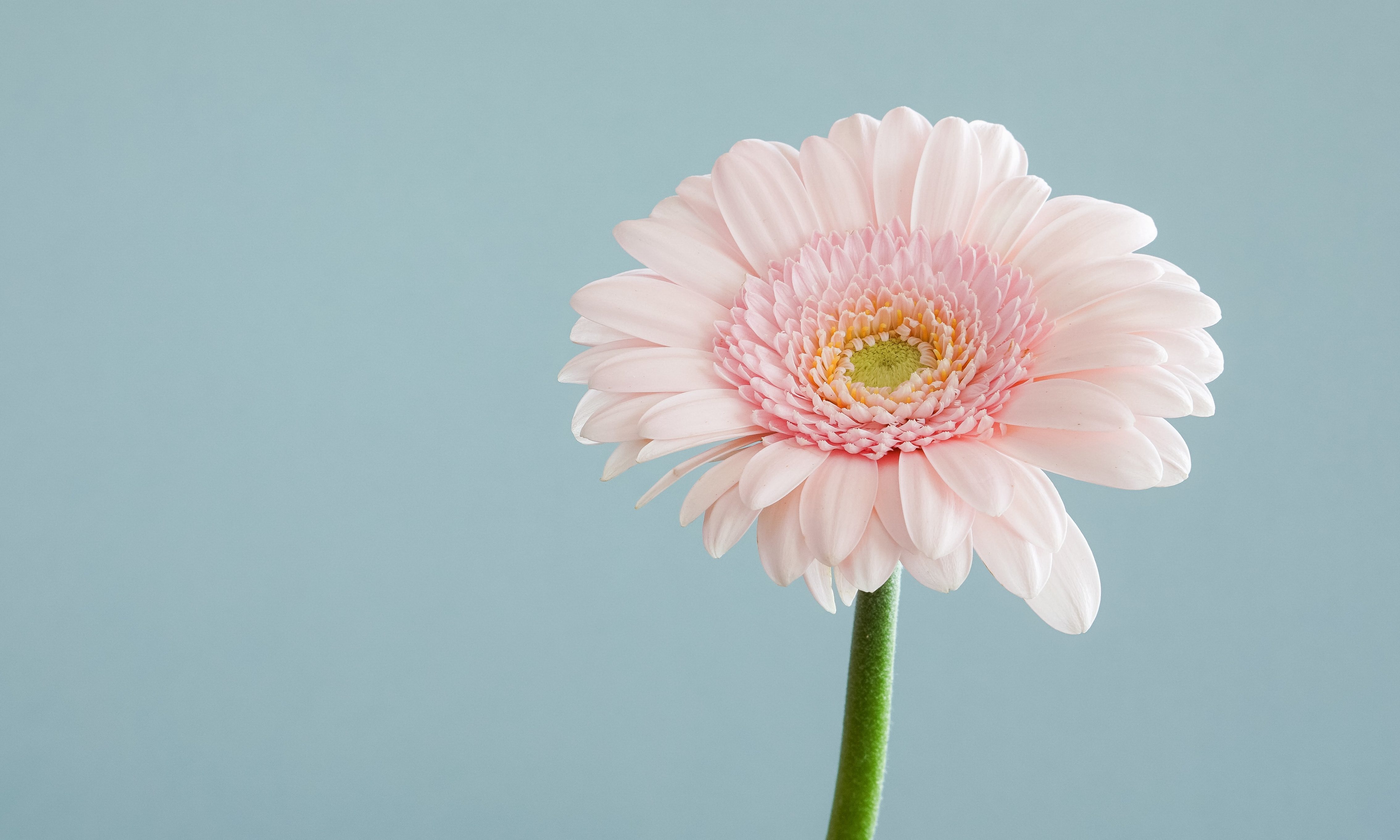 andrew small EfhCUc fjrU unsplash e1584027761306