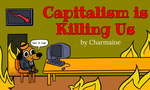 Capitalism is Killing us banner