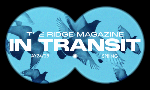 mag 1 banner